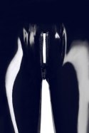 Latex Leggings XL