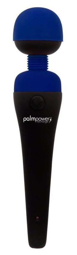 Palmpower recharge blue