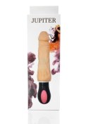 Wibrator-JUPITER-USB-12function,rotation vibrator