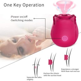 Stymulator-Massager USB 10 function