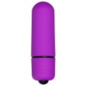 Wibrator- Blush Single Speed Mini Vibrator Purple