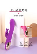 Rabbit Dual Vibrator PURPLE