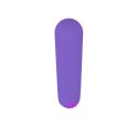 Power Bullet USB 10 functions Glossy Matte Purple