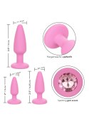 Crystal Booty Kit Pink