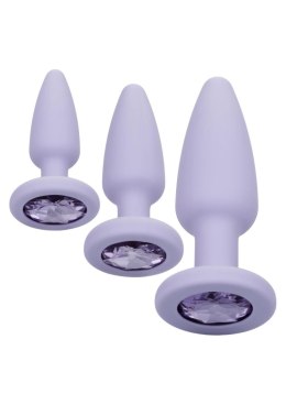 Crystal Booty Kit Purple