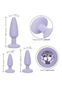 Crystal Booty Kit Purple