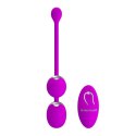 PRETTY LOVE - WILLIE USB remote control 12 function