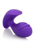 Booty Call Petite Probe Purple