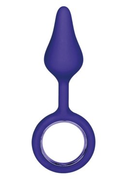 Plug-BOOTY TICKLER PURPLE