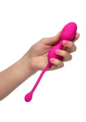 Remote Dual Motor Kegel System Pink