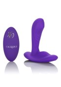 Remote Pinpoint Pleaser Purple