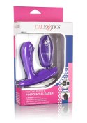 Remote Pinpoint Pleaser Purple