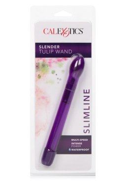 Slender Tulip Wand Violet