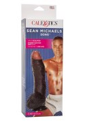 Zagięty sztuczny penis z przyssawką żylasty19 cm CalExotics