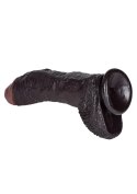 Zagięty sztuczny penis z przyssawką żylasty19 cm CalExotics