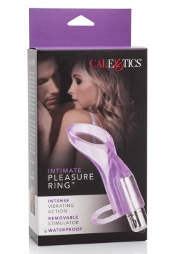 Intimate Pleasure Ring Purple