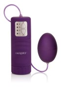 Pocket Exotics Waterproof Egg Purple