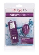 Pocket Exotics Waterproof Egg Purple