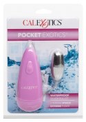 Pocket Waterproof Bullet Silver