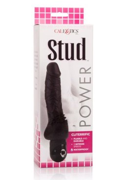 Power Stud Cliterrific Black