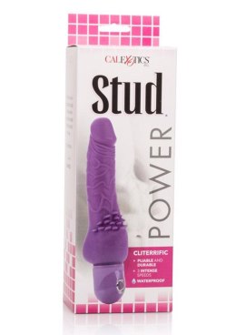 Power Stud Cliterrific Purple