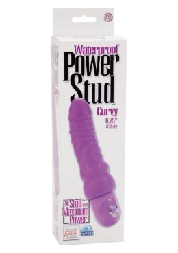 Power Stud Curvy Purple