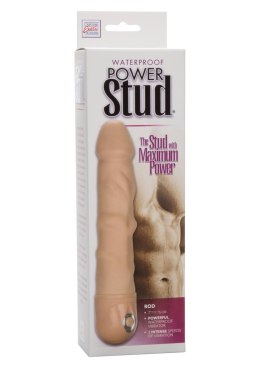 Power Stud Rod Light skin tone