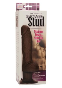 Shower Stud Super Stud Brown skin tone