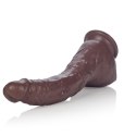 Duży zagięty murzyński penis dildo 22cm przyssawka CalExotics