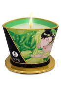 Świeca/krem-SHUNGA CANDLE GREEN TEA 170 ML Shunga