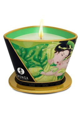 Świeca/krem-SHUNGA CANDLE GREEN TEA 170 ML Shunga