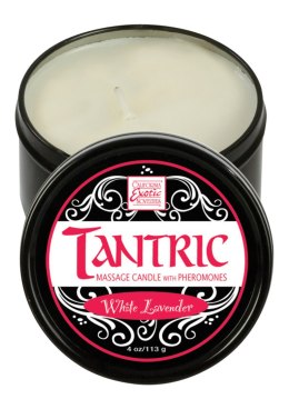 Świeca/krem-TANTRIC CANDLE W PHER. WHITE LAVEND California Exotic Novelties