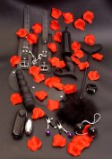 Zestaw-AMAZING PLEASURE SEX TOY KIT TOYJOY