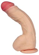 Dildo z kręgosłupem wyginane realistyczne sex 25cm B - Series Real