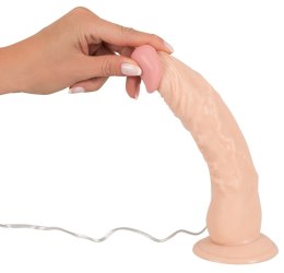 Realistyczny sterczący penis członek dildo 23cm European Lover