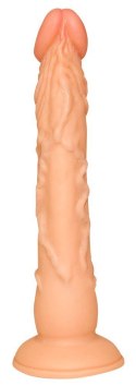 Dildo na przyssawce naturalny rozmiar wąskie 18cm European Lover