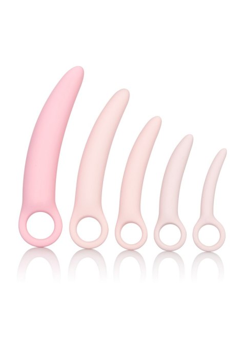 Dildo-INSPIRE SILICONE DILATOR 5 PCS SET CalExotics