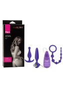 Hers Anal Kit Purple