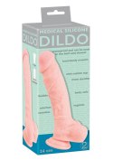 Realistyczny gruby duży penis dildo przyssawka 24c Medical Silicone