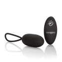 Jajko/wibr-REMOTE RECHARGEABLE EGG BLACK CalExotics