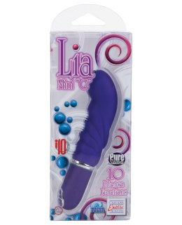 Wibrator-LIA MINI 