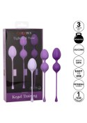 Kegel Training 3 Pcs Purple