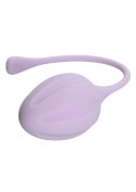 Kegel Training 3 Pcs Purple