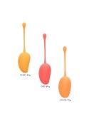 Kegel Training Set Mango Assortment