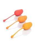 Kegel Training Set Mango Assortment