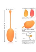 Kegel Training Set Mango Assortment