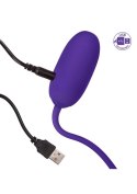 Recharg. Kegel Ball Starter Purple