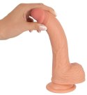 Prawdziwy penis żyły jądra główka naturlany 21cm Realistixxx