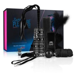 Secret Pleasure Chest - Black Easytoys