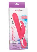 Enchanted Exciter CalExotics